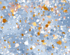 seaside_sprinkle_icon.png