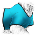 t_shirt_aqua_thumb.png