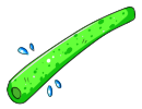 greenpoolnoodle.png
