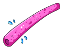 pinkpoolnoodle.png