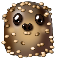 sesame_marmot_truffle.png