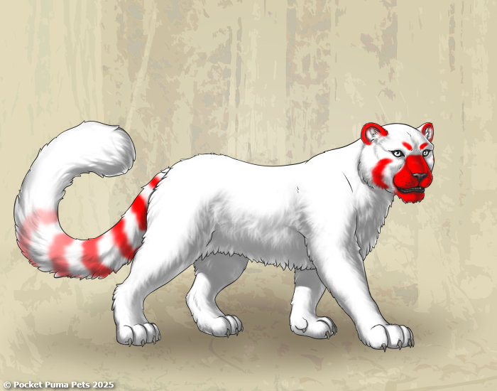 ailurus_example.png