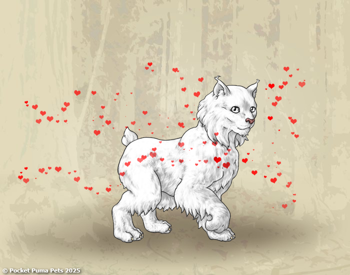 amoria_example.png