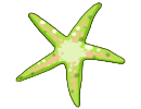 greenstarfish.png