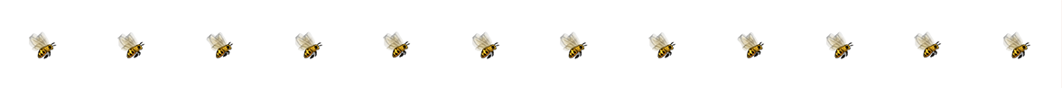 bee_sprite.png