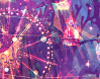 revelry_ltd_icon.png