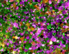 noxious_glitter_icon.png