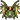 561.png
