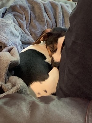 26947_181484415.jpg?no