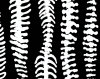 spine_stripes_icon.png