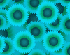 sunflowers_cyan_icon.png