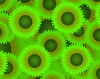 sunflowers_lime_icon.png
