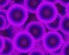 sunflowers_purple_icon.png
