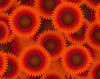 sunflowers_red_icon.png