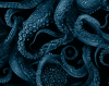 writhing_kraken_icon.png