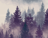 lost_fog_woods_icon.png