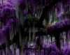 purple_moss_branches_icon.png