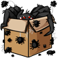 Spider-Filled Cardboard Box