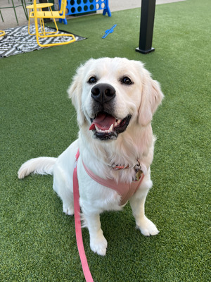 27148_247260158.jpg?no