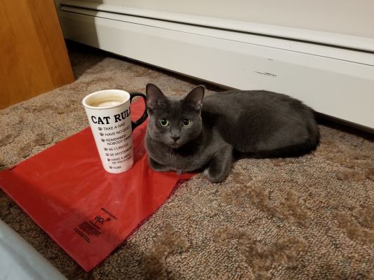 26559_189117562.jpg?no