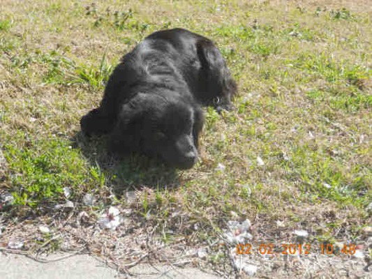 21005_181936263.jpg?no