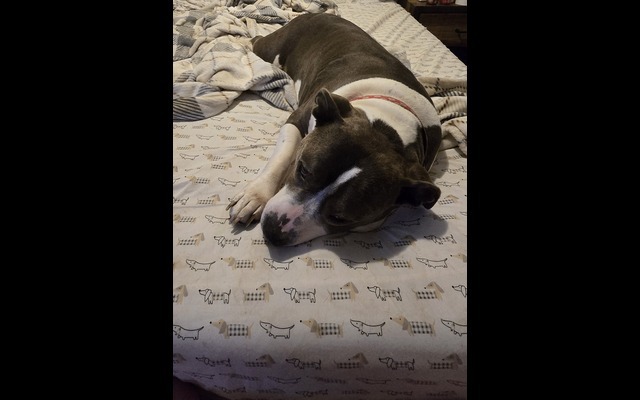 27139_242093166.jpg?no