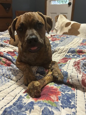 27138_251494754.jpg?no