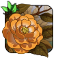 67027.png