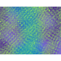 ec_cytoplasm_thumb.png