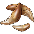 carnivore_teeth.png
