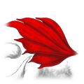 petal_wings_morpholixir.png