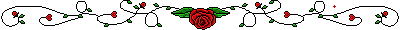 Amourok Banner 2