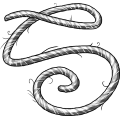 string_string.png