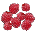 raspberries_thumb.png