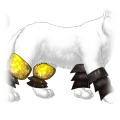 bee_legs_thumb.png