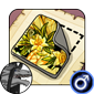 Skin: Daffodil Dance - Veilspun Male Only